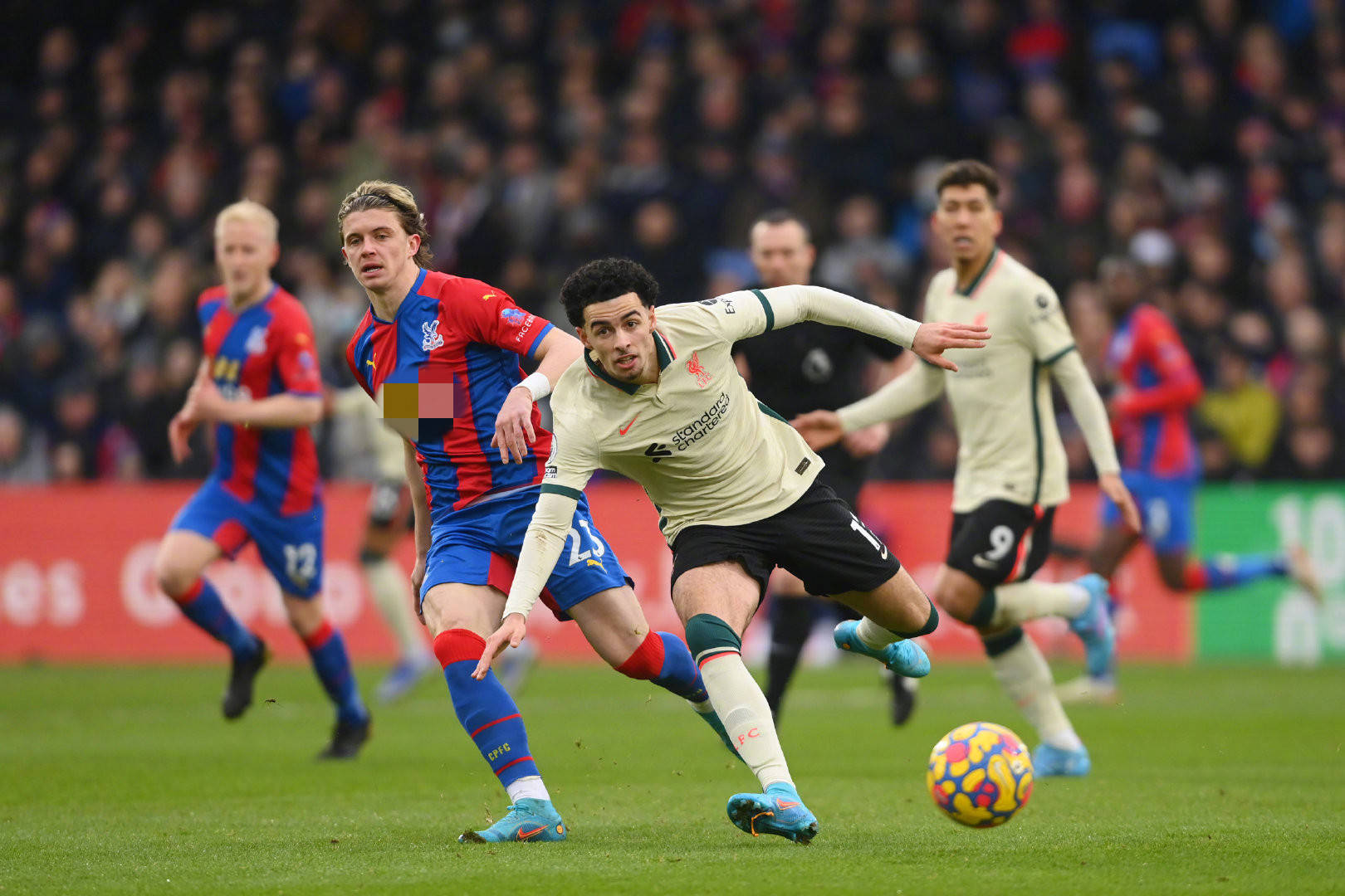 些成功案例 些成功案例